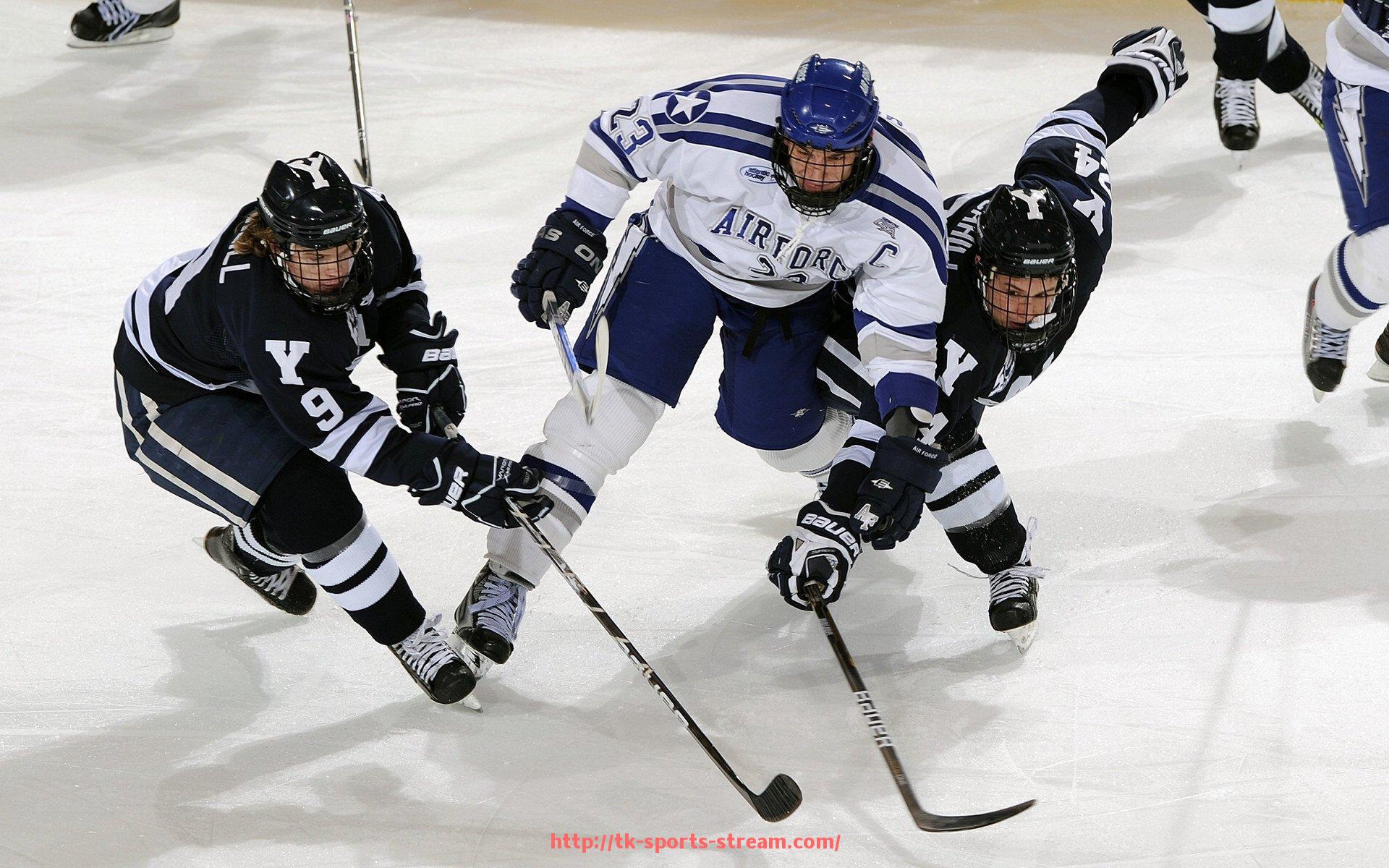 TK体育直播-德甲历史冠军球队数量统计及冠军分布趋势分析