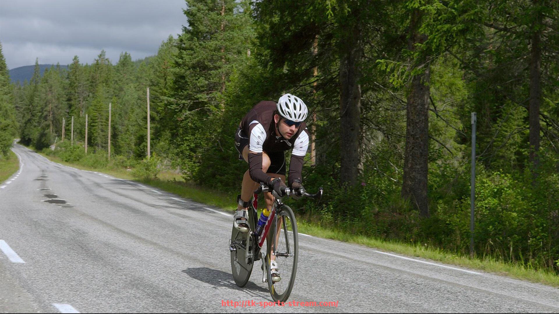 TK体育直播-世俱杯球迷现场支持及应援活动介绍