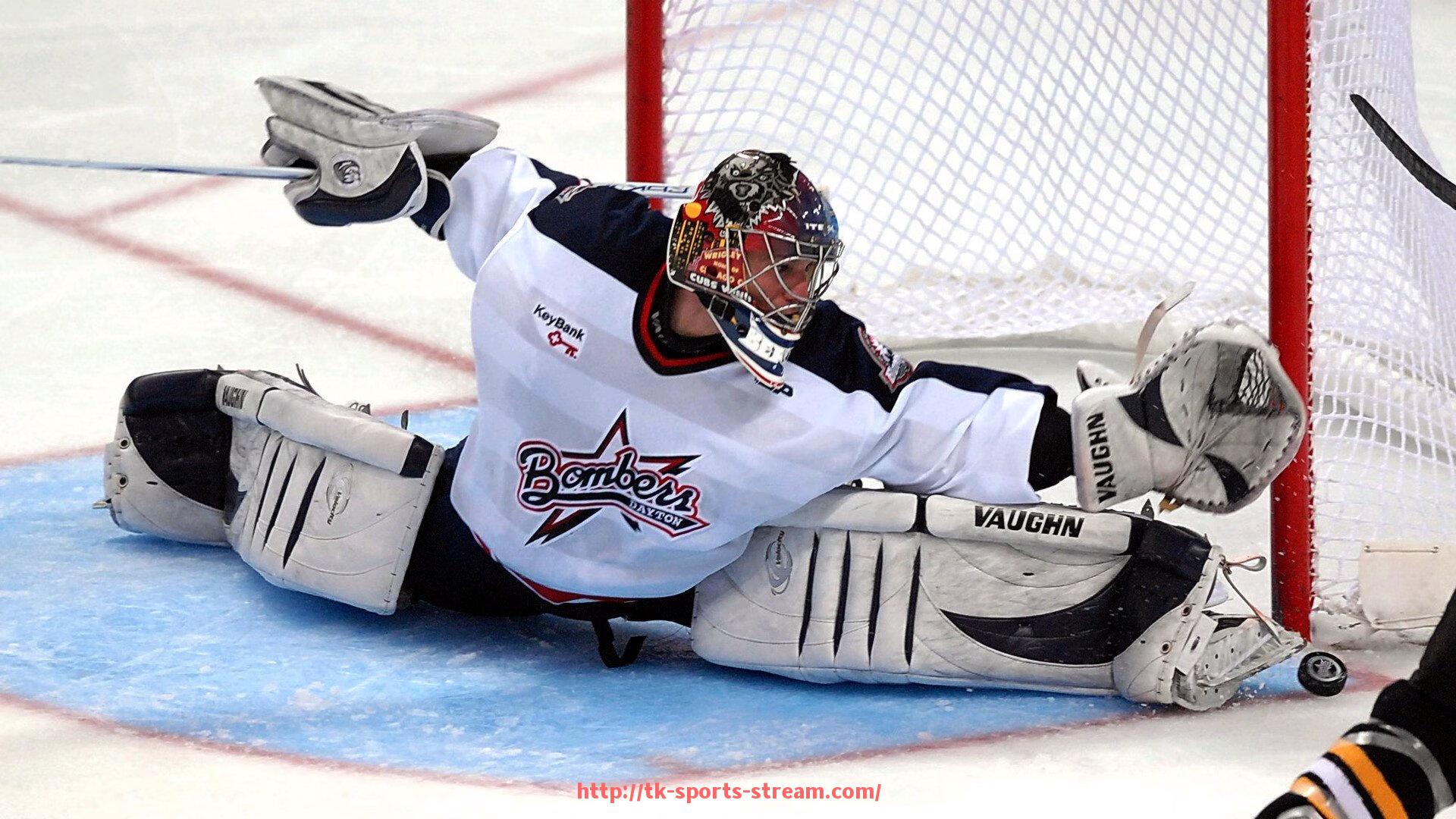 TK体育直播-世界杯期间赛场交通管理细节发布 主办城市应对策略全公开