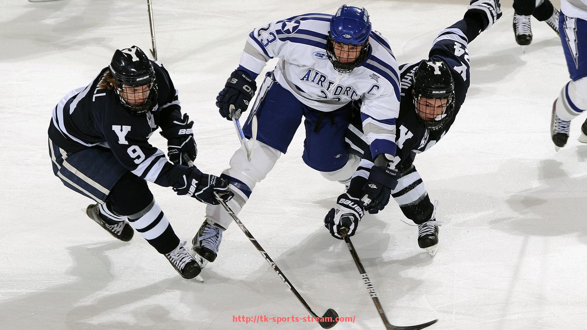 TK体育直播-英超各球队主场的氛围与球迷支持度分析